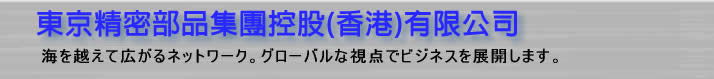 東京精密部品集團控股(香港)有限公司